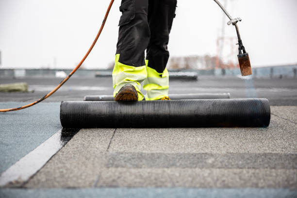 Best Roof Moss and Algae Removal  in Dupont, PA